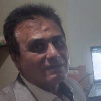 رضا توکلی